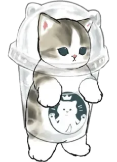 🥤 d5a6b14a kat, schattig, Starbucks, koffie, dier, sticker whatsapp sticker