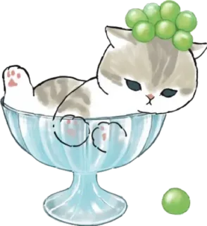 🍨 e3889f63 kat, kitten, druiven, schattig, lief, dessert, ijs, kom, dier, huisdier whatsapp sticker