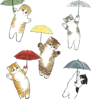 🌧 f4b68116 kat, paraplu, schattig, regendag, kitten, dieren, fantasievol whatsapp sticker