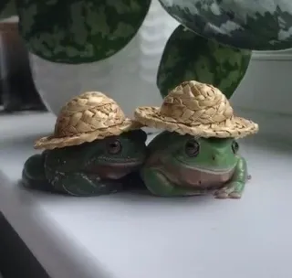 ๐ฉโ๐พ 0a5de3b4 frogs, hats, animals, nature telegram sticker