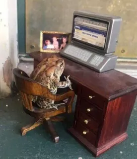 ๐ค 4524c3b1 frog, computer, desk, animal, toad, work, funny telegram sticker