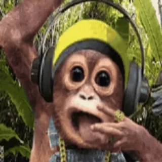 Primates | @uffchat whatsapp stickers