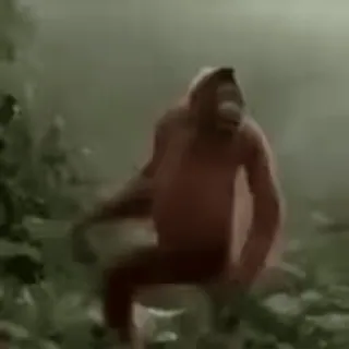 Primates | @uffchat telegram stickers