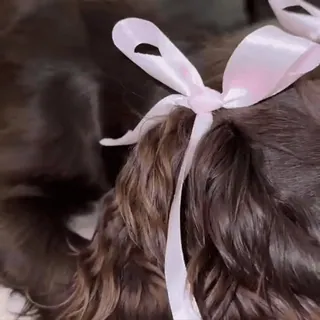 🎀 fb70c368 狗, 宠物, 动物, 蝴蝶结, 可爱 telegram sticker