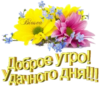 🌼 c141451d Доброе утро! Удачного дня!!! dzień dobry, kwiaty, rosyjski telegram sticker