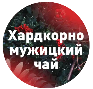 ДОСВИДУЛИ telegram stickers