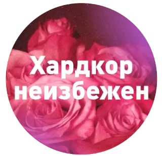 🔨 bfbe1a4e Хардкор неизбежен กุหลาบ, ดอกไม้, ข้อความรัสเซีย, สีชมพู, ลายดอกไม้, ฮาร์ดคอร์ telegram sticker