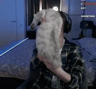 🐈 4c122790 whatsapp sticker