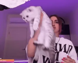 🐈 df039b70 kucing, wanita, hewan peliharaan, binatang whatsapp sticker