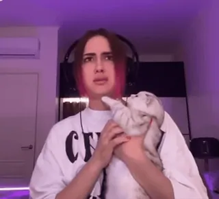 🤨 ff2544c0 whatsapp sticker