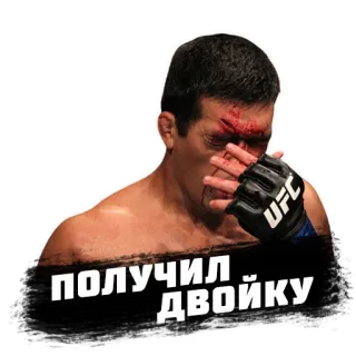 ПОЛУЧИЛ ДВОЙКУ whatsapp stickers