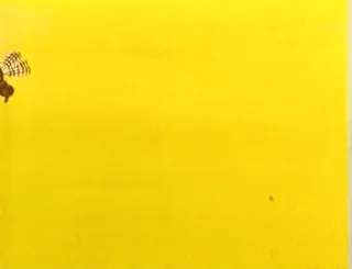 🪰 bf318e99 telegram sticker