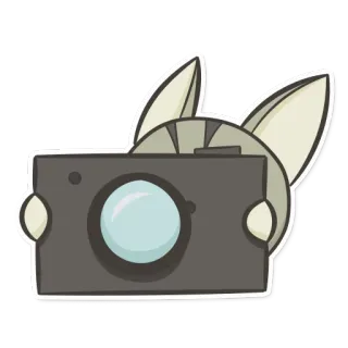 📷 def85fa9 gatto, fotocamera, fotografia, animale, adesivo whatsapp sticker