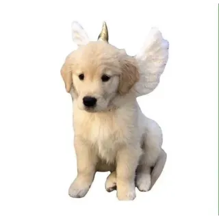 😘 8b02069d perro, cachorro, golden retriever, unicornio, alas, lindo, animal, mascota telegram sticker