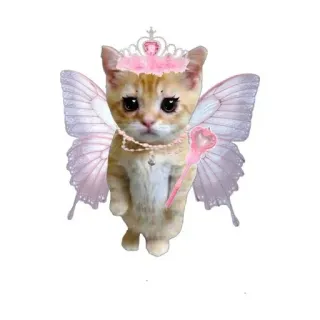 😉 a1538cab gato, hada, alas, gatito, lindo, rosa, corona, animal telegram sticker
