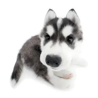 ☺ dca7144e perro, husky, cachorro, animal, lindo telegram sticker