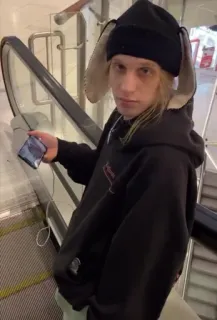 🦂 1019945c telegram sticker