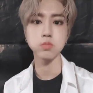 SKZ 2 whatsapp stickers