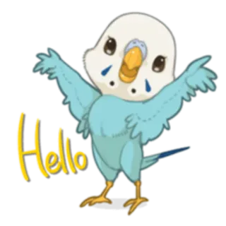 🙂 6ba51a75 Hello птица, волнистый попугай, милый, животное, привет, приветствие whatsapp sticker