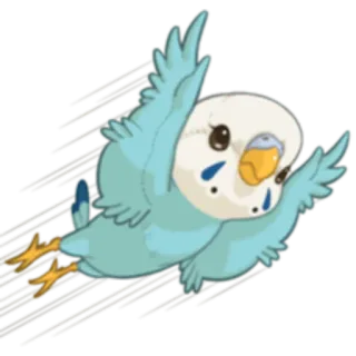 ✈️ c2943f2e птица, волнистый попугай, попугай, синий, летающий, милый, домашнее животное, животное whatsapp sticker