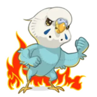 😡 f62236cd птица, огонь, злой, мультфильм, волнистый попугай, пламя, животное, милый whatsapp sticker