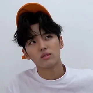 😑 1734e8f3 telegram sticker