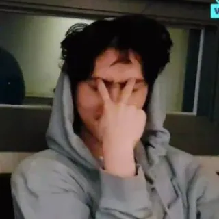 🤨 4c535105 사람, 제스처, 얼굴, 후드티, 인물 사진 telegram sticker