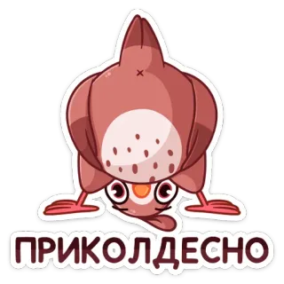 🤩 0048734a ПРИКОЛДЕСНО 鳥, 漫画, ステッカー, 面白い, 逆さま, ロシア語, テキスト telegram sticker