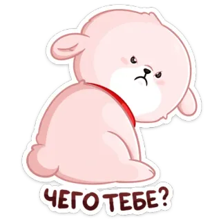 😒 33d8b3cf ЧЕГО ТЕБЕ? orso, carino, adesivo, russo, domanda telegram sticker