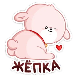 😉 64ee7527 ЖЁПКА dễ thương, động vật, hoạt hình, gấu, nhãn dán telegram sticker