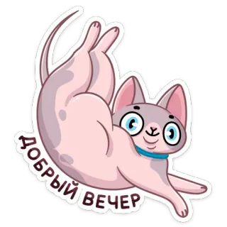 ☺️ 491d1b1f ДОБРЫЙ ВЕЧЕР gato, animal, saudação, boa noite, fofo telegram sticker
