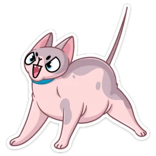 😡 cbddac2c gato, gato sphynx, gato sem pelo, desenho animado, animal, adesivo telegram sticker