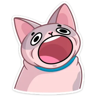 😱 dd6d09b9 gato, meme, animal, gato gritando, gato desenho, engraçado, adesivo telegram sticker