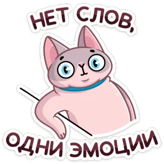 😶 fdce4469 НЕТ СЛОВ, ОДНИ ЭМОЦИИ gato, emoções, sem palavras, sphynx, russo, texto telegram sticker