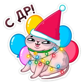 🥳 98169783 С ДР! selamat ulang tahun, kucing, pesta, perayaan, balon whatsapp sticker