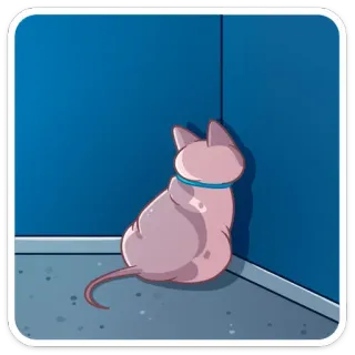 🙈 1cbb7048 gatto, gatto senza pelo, sphynx, animale, animale domestico telegram sticker