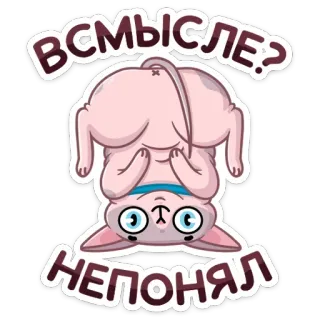 🙃 37dec2d8 ВСМЫСЛЕ? НЕПОНЯЛ gatto, adesivo, gatto sphynx, confuso, sottosopra, russo, testo telegram sticker