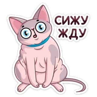 ☺️ 68b5e563 СИЖУ ЖДУ gatto, attesa, sphynx, cartone animato, carino, animale telegram sticker