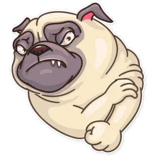 😡 aa712c40 carlino, cane, cartone animato, animale, adesivo, carino, divertente, arrabbiato whatsapp sticker