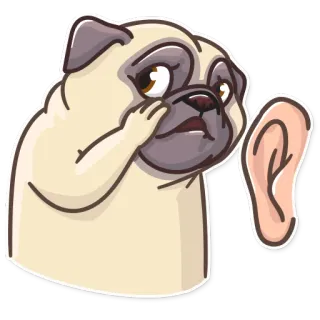 🤫 bd67cea3 carlino, cane, orecchie, ascoltare, udito, adesivo, cartone animato whatsapp sticker