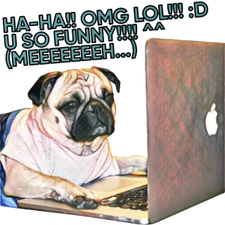 😴 1188c1a9 HA-HA!! OMG LOL!!! :D
U SO FUNNY!!!!^^
(MEEEEEEEH...) หมา, ปั๊ก, คอมพิวเตอร์, แล็ปท็อป, ตลก, อินเทอร์เน็ต telegram sticker