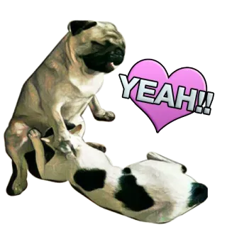 ❤ aab5ea67 YEAH!! หมา, ปั๊ก, สติกเกอร์, สัตว์, ใช่ telegram sticker