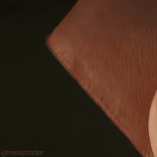 💰 e5741b69 telegram sticker