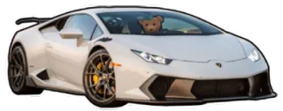 🔗 c0fffcd9 lamborghini, auto, teddybär, automobil, sportwagen, fahrzeug whatsapp sticker