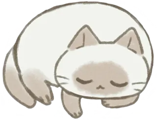 💤 ea81260c Katze, schlafend, Tier, süß, Hauskatze, Haustier, Siamesische Katze telegram sticker