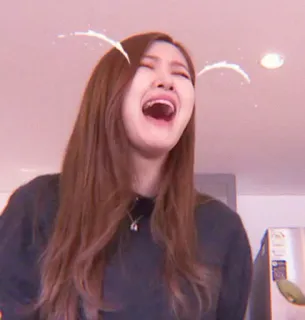 🌹 24f37ec0 사람, 여자, 웃음, 표정, 인물사진, 감정적인 telegram sticker