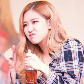 🌹 dbf7ec33 telegram sticker