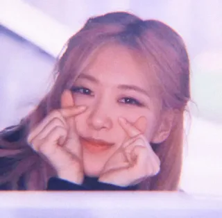 🌹 e905a4cb k팝, 장미, 손하트, 아이돌, 음악, 귀여운, 아시아 telegram sticker