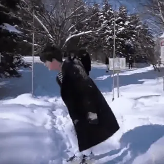 🤩 972b8185 nieve, invierno, persona, caminando, frío whatsapp sticker