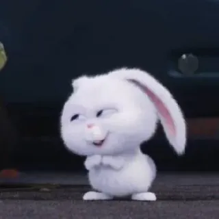 😏 2421d01c Snowball The Secret Life of Pets kelinci, kelinci, hewan, imut, kartun, karakter, The Secret Life of Pets whatsapp sticker